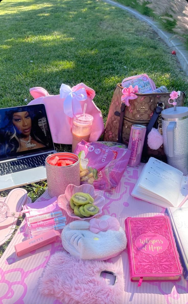 Pink outdoor planning setup with journal, laptop and wellness items
